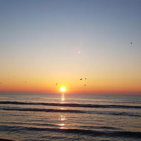 Blue Mamaia Nord Appartamento